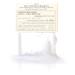 Essence Skin-Saving Clear and Natural Soap