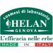 Helan Capelvenere Colours Permanent Natural Hair Colour Nuance N6.1 Dark Ash Blonde - Easy Application Kit Odourless Excellent Coverage - Ammonia and Alcohol Free Hair Colour 125 ml - Buy Online on SooperMarket.com