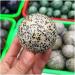 Crystal Meditation Healing Natural Speckled Stone Crystal Ball as a Wedding Decoration Furniture Decoration Meditation Crystal - Buy Online on SooperMarket.com
