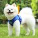 Buy Reflective Soft Padded Dog Harness & Cat Dishes for Small Dogs - Air-Mesh Leash Included | Perfect Fit for Puppies & Cats (Chest 29-33cm) - Blue - Buy Online on SooperMarket.com