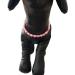PET SHOW Pink Faux Pearl Rhinestone Necklace for Female Small Dogs and Cats - Grooming Accessories (Size M 9.8-11.8) - Buy Online on SooperMarket.com