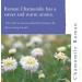 Absolute Aromas Roman Chamomile Essential Oil 10ml - Pure, Vegan, Cruelty-Free - for Diffuser & Aromatherapy Blends - Buy Online on SooperMarket.com