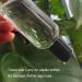 3.4 Oz Clear TSA Approved Travel Bottles - Set of 6 | Refillable Plastic Containers for Shampoo & Lotion - Buy Online on SooperMarket.com