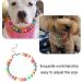 Colorful Dog Pearl Necklace & Adjustable Pet Collar - Stylish Jewelry for Mini Breed Dogs & Cats - Buy Online on SooperMarket.com