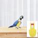 iplusmile Budgie Bird Diaper Nappy with Bowtie - Parakeet Cockatiel Costume (Yellow S) | International Shipping - Buy Online on SooperMarket.com