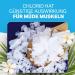 Solup 4 kg Magnesium Chloride Flakes | 100% Natural Magnesium Bathing Salt | Ideal for Magnesium Deficiency Relief - Buy Online on SooperMarket.com