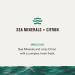Every Man Jack Sea Minerals + Citron Men's 3-in-1 All Over Wash - Sea Mineral, Bergamot, Citrus - For All Skin and Hair Types - Soy Proteins for Cleansing, Nourishing, and Protecting - Buy Online on SooperMarket.com