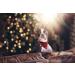 Shop Lionet Paws Christmas Bandana for Dogs - Triangular Headscarf in Black & Red Perfect for Small to Large Breeds - International Shipping Available! - Buy Online on SooperMarket.com