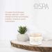 Buy Bio Creative Lab Spa Sugar Scrub - Milk Honey & White Chocolate 470ml | International Shipping Available - Buy Online on SooperMarket.com