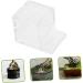 VILLFUL Pet Water Feeder Ants Drinking Tool Ants Water Feeding Bowl Small Ants Feeder Insect Feeder Plastic - Buy Online on SooperMarket.com