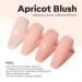 Modelones Pink Builder Gel - 15ml UV Hard Gel for Nail Extensions & Strengthening | Ideal for Gel Nails Art - Buy Online on SooperMarket.com
