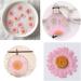 50pcs Natural Dried Daisy Flowers - Vacuum Packed for Decoration & Jewelry Making (5 Colors) - Buy Online on SooperMarket.com