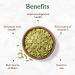 Organic Fennel Seeds (397g/14oz) from Rajasthan, India | USDA Certified | Anti-inflammatory | Ideal for Cooking & Beverages | Resealable Pouch - Buy Online on SooperMarket.com