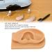 Silicone Right Acupuncture Ear Model - Waterproof Hearing Aid Display Accessory for Science Education - Buy Online on SooperMarket.com