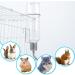 JVHLOV Rodent Water Bottle Hamster Water Bottle Hanging Rodent Drinker No Drips for Small Animal Squirrel Rabbit Chinchilla Guinea Pig Hamster Golden Bear (Clear 180ml*2) - Buy Online on SooperMarket.com