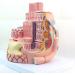 Enlarge 40 000 Times Skeletal Muscle Fiber MicroAnatomy Model Medical Education Training aid Science Kits - Buy Online on SooperMarket.com