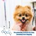 Plksei 2-Piece Dog Care Scissors Set | Professional Round & Curved Scissors for Dogs Cats & Pets | International Shipping - Buy Online on SooperMarket.com