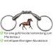 AMKA Double Broken Snaffle Bit | 18mm Stainless Steel | 65mm Rings | Ideal for Horses up to 17.5 cm - Shop Internationally - Buy Online on SooperMarket.com