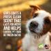 Bath & Brush Therapies Pear Berry Pet Cologne 4.5 oz for Dogs | Long-Lasting Odor Eliminator | Cruelty-Free, Paraben-Free | Made in USA - Buy Online on SooperMarket.com