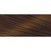 Bigen Speedy Conditioning Color Refill 2 Light Warm Chestnut - 3 Pack - Buy Online on SooperMarket.com