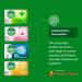 Dettol Anti-Bacterial Hand and Body Soap 12-Pack Variety Set - 4 Scents 100g Each - Buy Online on SooperMarket.com