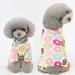 GZXYUAN Cat Professional Recovery Suit Surgical Recovery Shirt Cat Recovery Suit Pet Clothes for Cats and Dogs(M) - Buy Online on SooperMarket.com