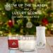 Glade PlugIns Air Freshener Starter Kit Scented and Essential Oils for Home and Bathroom Twinkling Pine & Cedar 1 Warmer and 1 Refill Pine Wonderland - Buy Online on SooperMarket.com