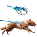 Non-stop dogwear FREEMOTION Harness 5.0 |111| Blue/Grey | Dog harness for all sports size:5 gray/blue 5