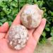 1pc 35g-260g Natural Polished Cherry Blossom Flower Agate Palm Stone forGifts Can be Used for (Color : 35g-55g) HOMEZHOU (Color : 110g-130g) - Buy Online on SooperMarket.com