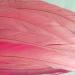 50pcs Pink Rooster Coque Tail Feathers 13-16 Inches - Hat Costume & Craft Decoration - Buy Online on SooperMarket.com