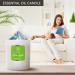 Armatics Green Apple Fragrance Candle - Natural Soy Aromatherapy Candle for Home | Perfect Gift for Mother's Day & Birthdays - Buy Online on SooperMarket.com