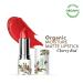 Moisture Matte Lipstick - Cherry Red | Long-lasting Hydrating Cruelty-free & Vegan | Certified Organic Makeup | 4gm - Buy Online on SooperMarket.com
