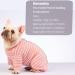 AOKAZI Hunde-Chirurgie-Genesungsanzug Welpen-Katzen-Einteiler f r Ausfallen Hautkrankheiten Wundschutz medizinischer Haustier-Chirurgischer Anzug Hunde-Pyjama (Rosa Medium) M PINK - Buy Online on SooperMarket.com