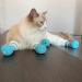 Shop Tita-Dong Cat Shoes: 4-Piece Silicone Anti-Scratch Boots & Nail Gloves for Cats - Blue Paw Protection & Claw Covers - Buy Online on SooperMarket.com
