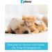 Zylkene Vetoquinol Capsules 75 mg - 60s Pack | Support for Dogs in Unusual Situations | Buy Online - International Shipping Available - Buy Online on SooperMarket.com