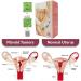 Tea for Women Warm Uterine Tea Uterus Tea Uterus Detox Tea Myoma Tea for Women - Buy Online on SooperMarket.com
