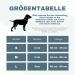 Teamwalk Premium Dog Collar - Magnetic Handle Light Strip Adjustable Soft Upholstery Robust Buckle Air Tag Bag - Rust Red Size M (4cm) - Buy Online on SooperMarket.com