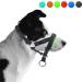 Padded Dog Head Collar for Anti-Pulling Control | Adjustable Head Harness in L Lake Blue - Buy Online on SooperMarket.com