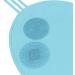 Harilla Brush Cleaning Mat Silicone Makeup Brush Cleaning Mat Lightweight Multipurppose Scrubber Mat for All Brushes blue - Buy Online on SooperMarket.com