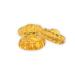 Premium Honey Barley Sugar Hard Candy Made from 100% Pure Honey - Tristan Foods (3-lb) 1.36 kg (Pack of 1)