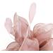 FRCOLOR Fascinator Feather Headband / Clip Party Wedding Royal Ascot Races Hair Accessories Headdress (Nude Pink) - Buy Online on SooperMarket.com