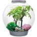 Biorb 55029 Decor Set 30L Sommer - Realistic Artificial Aquatic Plants & Stones for Freshwater & Saltwater Aquariums - Buy Online on SooperMarket.com