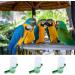 Bird Water Dispenser 4 Pcs Hanging Bird Water Bottles Automatic Bird Water Dispensers for Middle and Small Parrot Budgie Lovebirds Cockatiel Drinking Water - Buy Online on SooperMarket.com