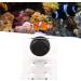 Buy Cikonielf Magnetic Coral Frag Rack - 4 Hole Transparent Acrylic Aquarium Coral Holder for International Shipping - Buy Online on SooperMarket.com