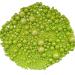 Edible Green Pearl Sugar Sprinkles 120g | Cake Decoration for Birthday Halloween Thanksgiving Christmas & Parties - Buy Online on SooperMarket.com