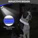 Buy Joytale Royal Blue Dog Collar - Softly Padded Neoprene for Medium Dogs | Nylon Reflective Wide Design - 1 Pack - Buy Online on SooperMarket.com