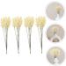 Amosfun 24pcs Wheat Ear Flower Silk Flower Office Decore Window Trim Decor for Living Room Fake Wheat Ear Wheat Decoration Natural Decorate Artificial Flower Straw Flower Arrangement Beige 30X1.5CM - Buy Online on SooperMarket.com