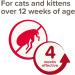 Beaphar Cat Spot On Four Week Protection Flea Repel Solution - Buy Online on SooperMarket.com