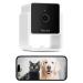 Petcube Cam Indoor Wi-Fi Pet and Security Camera with Phone App, Pet Monitor with 2-Way Audio and Video, Night Vision, 1080p HD Video and Smart Alerts for Ultimate Home Security 1 camera