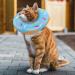 Xinzistar Soft Cat Collar - Adjustable Anti-Bite Safety Collar for Cats & Dogs (Blue Donut Size S) - Protective Pet Gear - Buy Online on SooperMarket.com